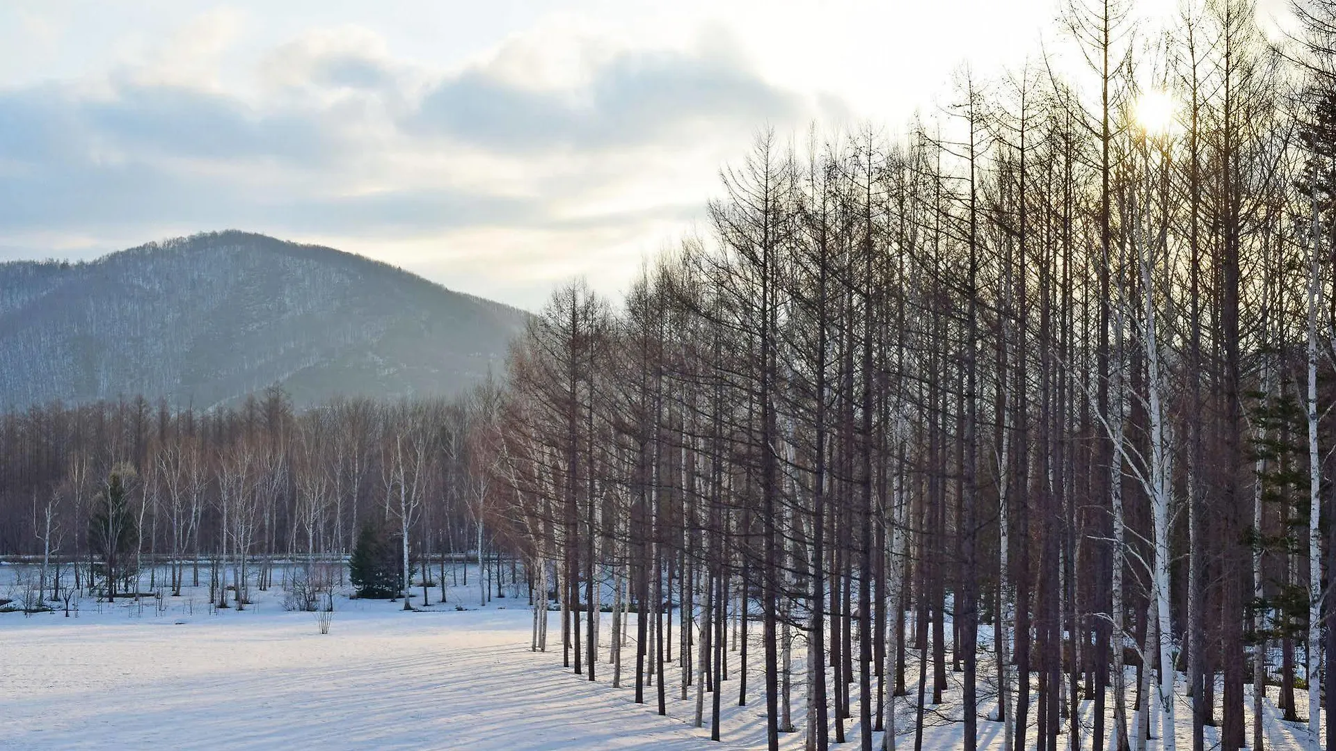 Highland Furano Hotel 3*,  Japan