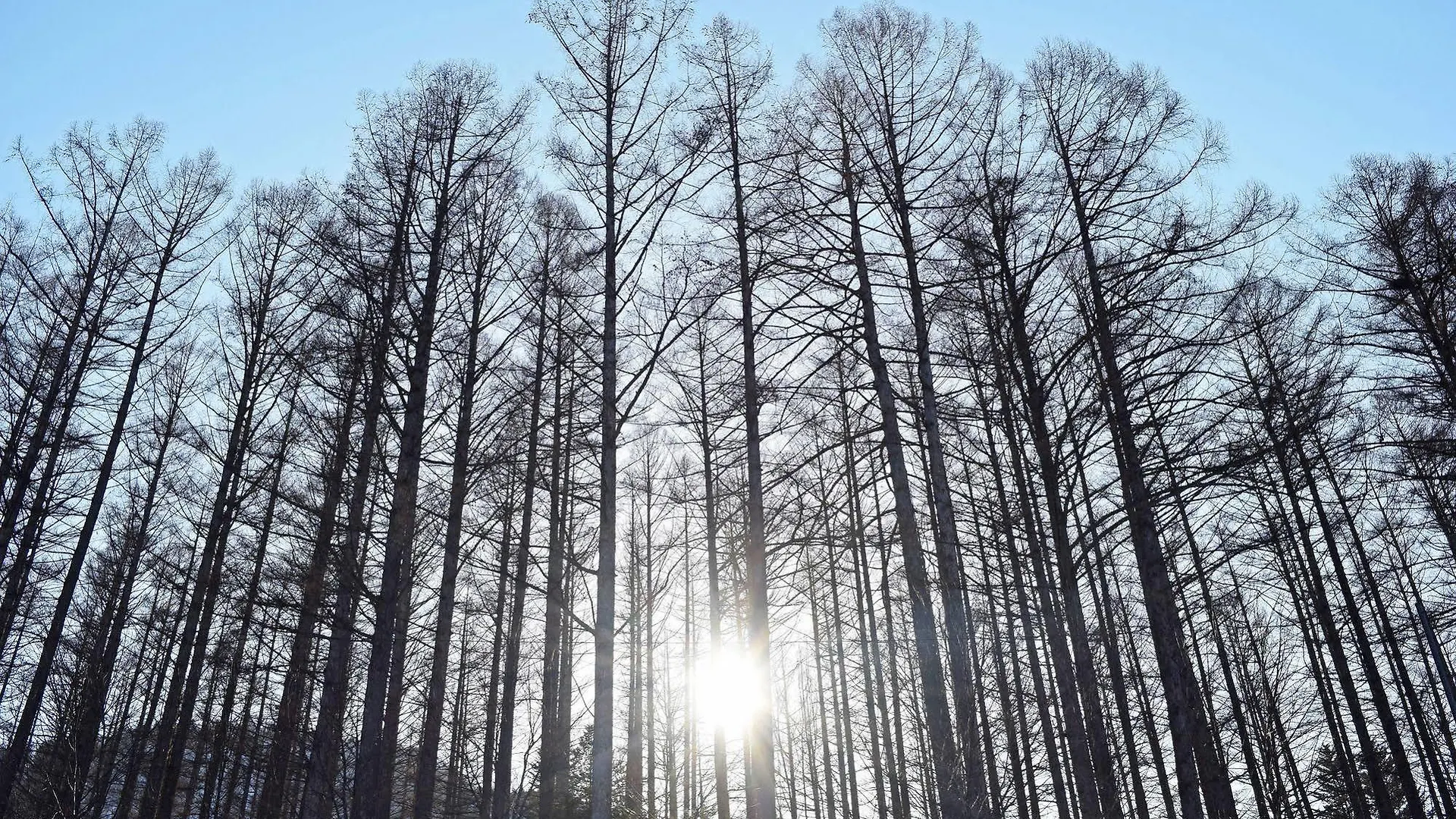 Highland Furano Hotel