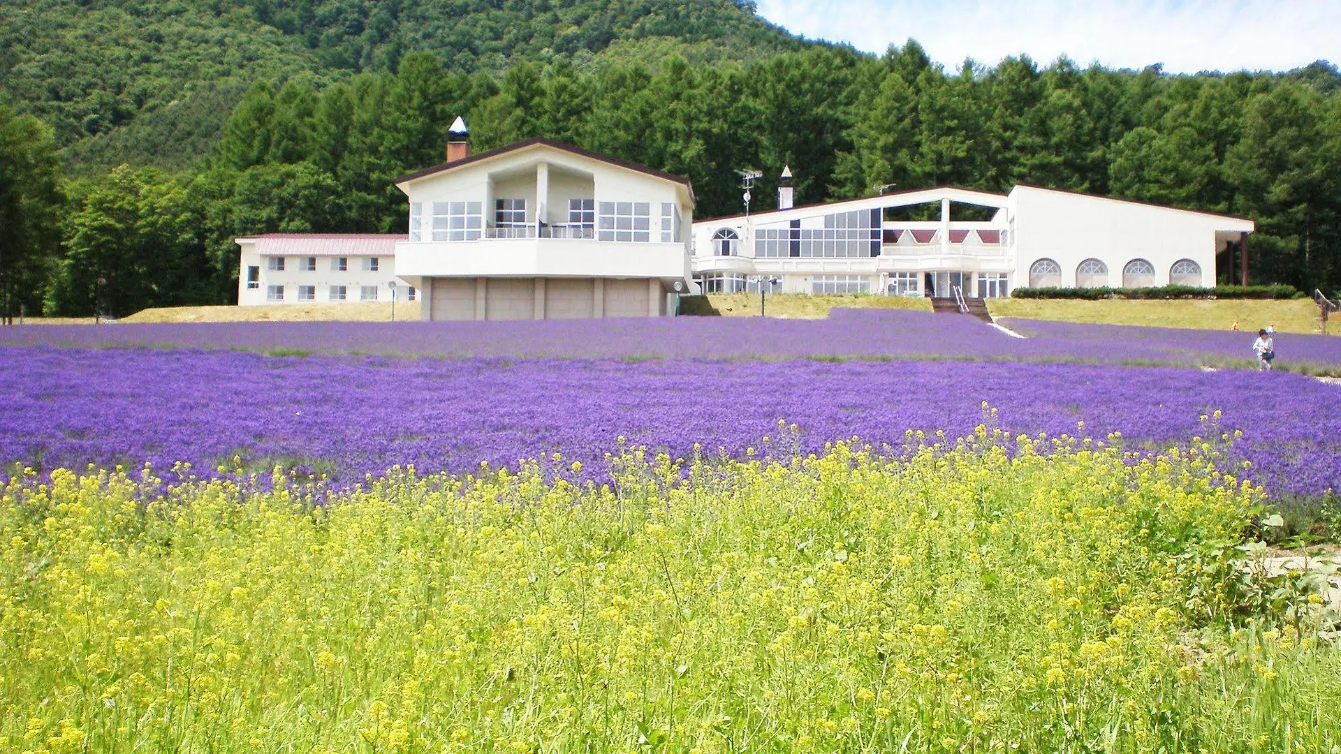 Highland Furano Hotel
