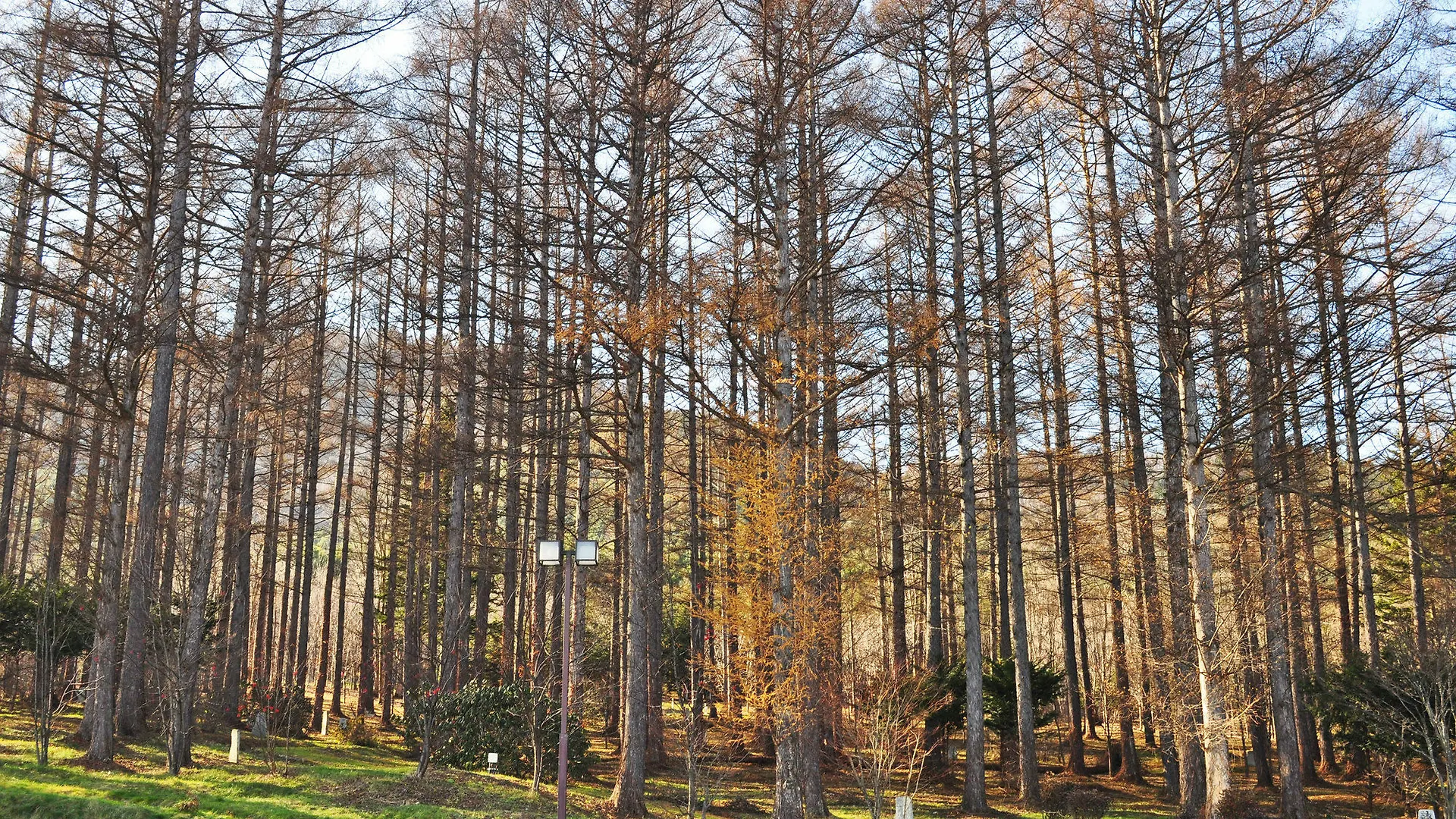 Highland Furano Hotel